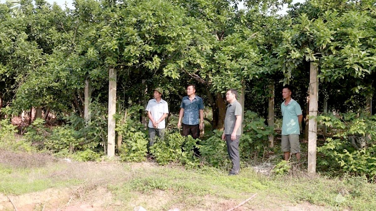 Tuyên Quang: Gần Dân tạo đồng thuận