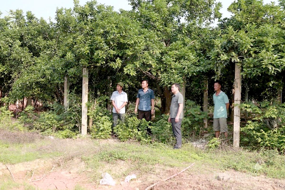 Tuyên Quang: Gần Dân tạo đồng thuận Tuyên Quang: Gần Dân tạo đồng thuận