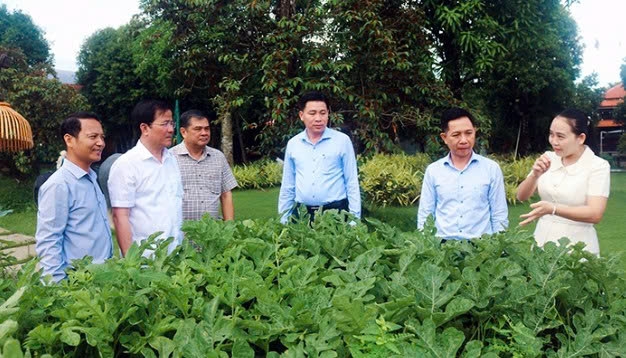 Cần Thơ: Định hình du lịch sinh thái với bản sắc riêng