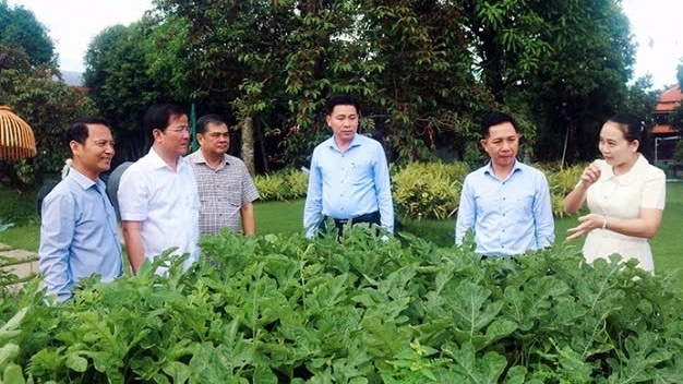 Cần Thơ: Định hình du lịch sinh thái với bản sắc riêng