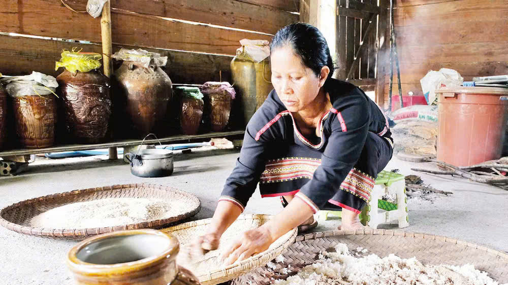 Lâm Đồng: Giữ hồn văn hóa M’nông trong từng ghè rượu cần Lâm Đồng: Giữ hồn văn hóa M’nông trong từng ghè rượu cần