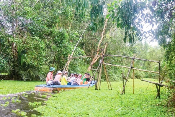 Cần Thơ: Liên kết hình thành chuỗi giá trị chế biến gỗ bền vững