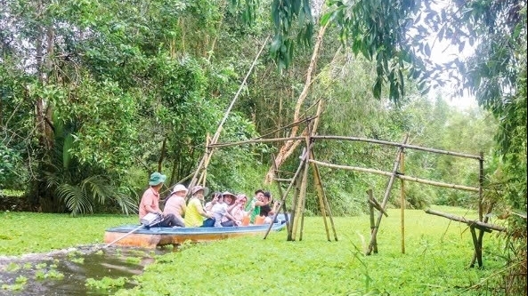 Cần Thơ: Liên kết hình thành chuỗi giá trị chế biến gỗ bền vững
