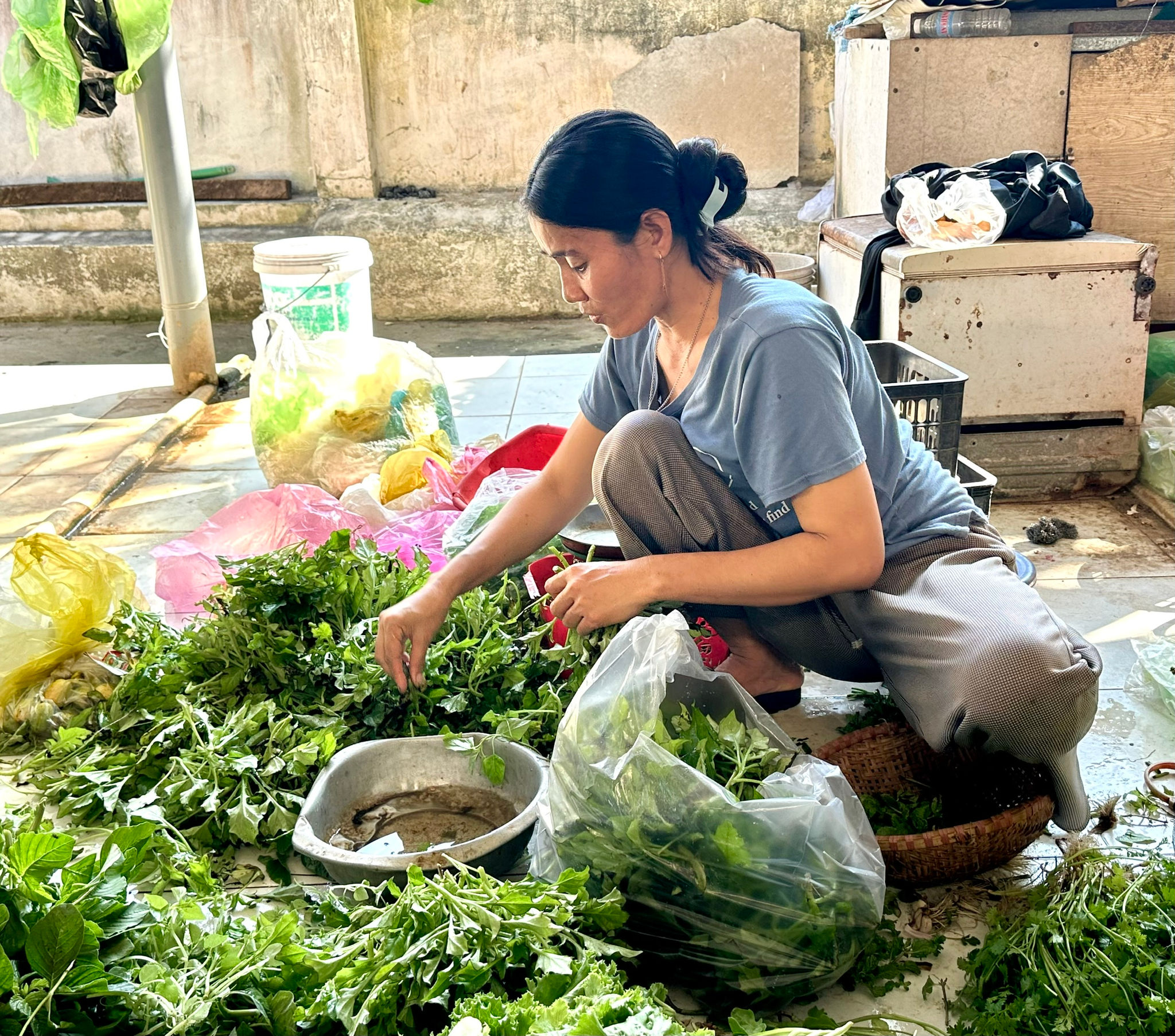 Lâm Đồng: Rau xanh trên đảo Phú Quý