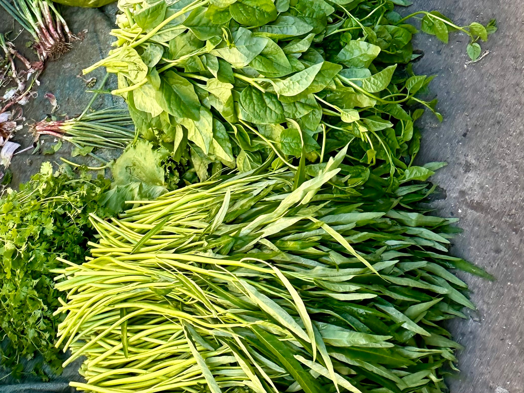 Lâm Đồng: Rau xanh trên đảo Phú Quý
