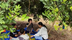 Lâm Đồng: Đánh thức tiềm năng phát triển du lịch ở Trà Tân