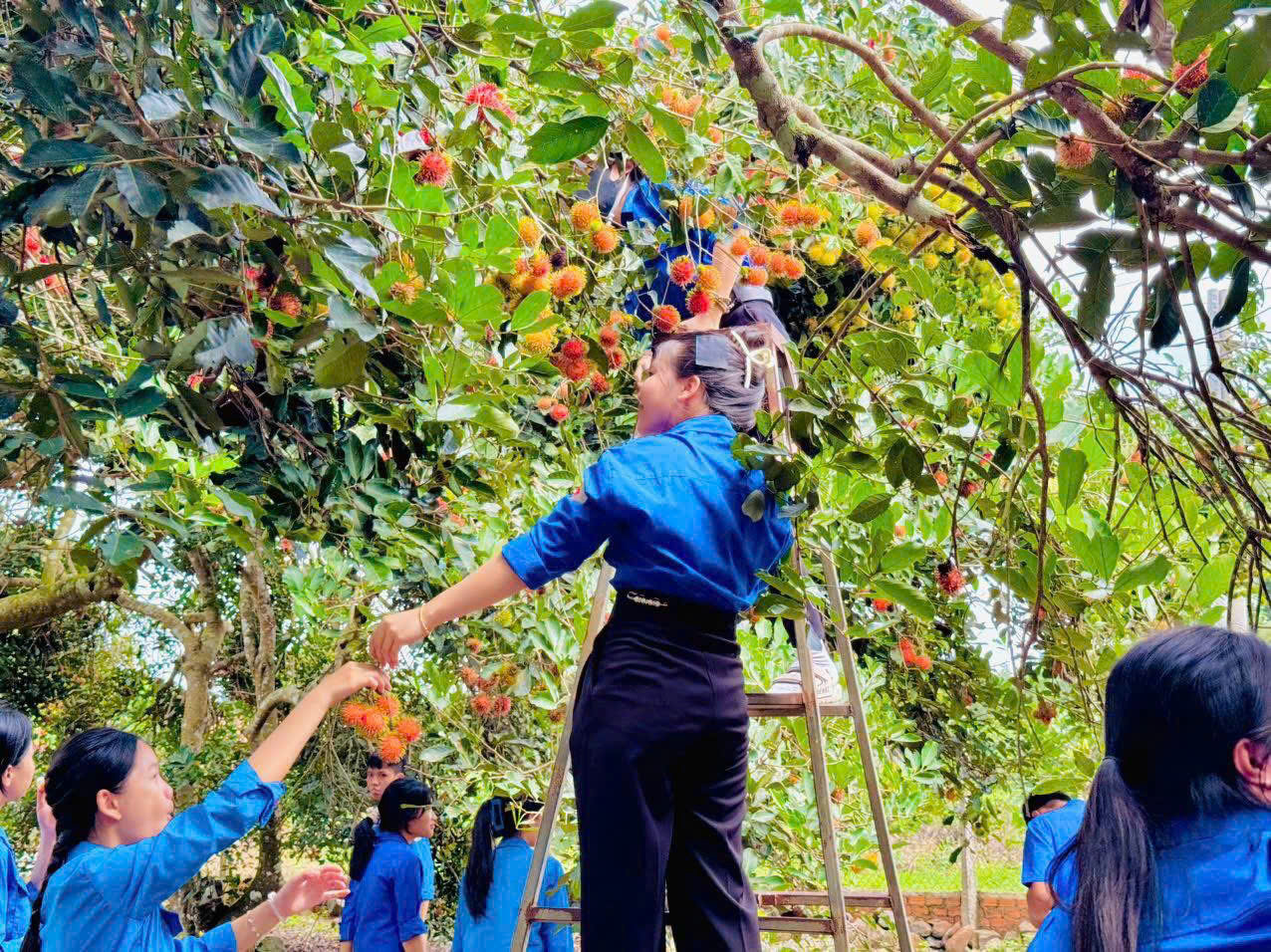 Lâm Đồng: Đánh thức tiềm năng phát triển du lịch ở Trà Tân