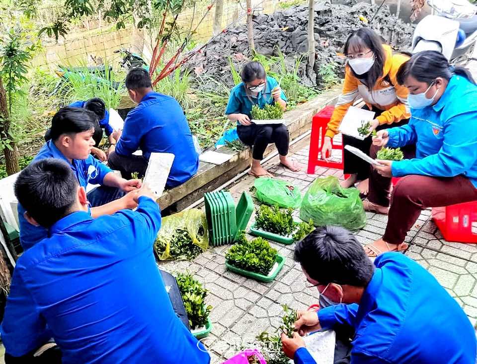 Cà Mau: Niềm tin cho chặng đường mới