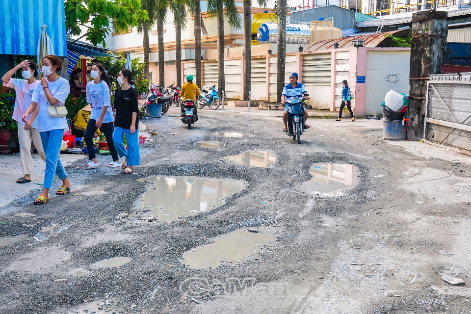 Cà Mau: Nỗi lo 