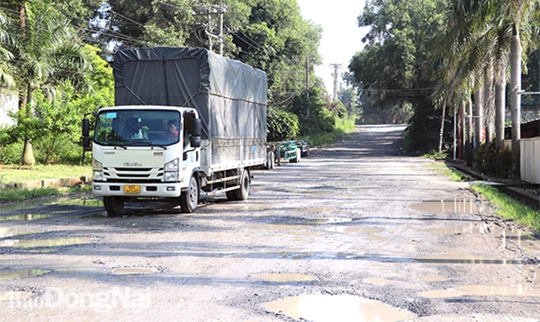 Đồng Nai: Nhiều cụm công nghiệp gặp khó về đầu tư hạ tầng