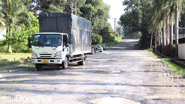 Đồng Nai: Nhiều cụm công nghiệp gặp khó về đầu tư hạ tầng