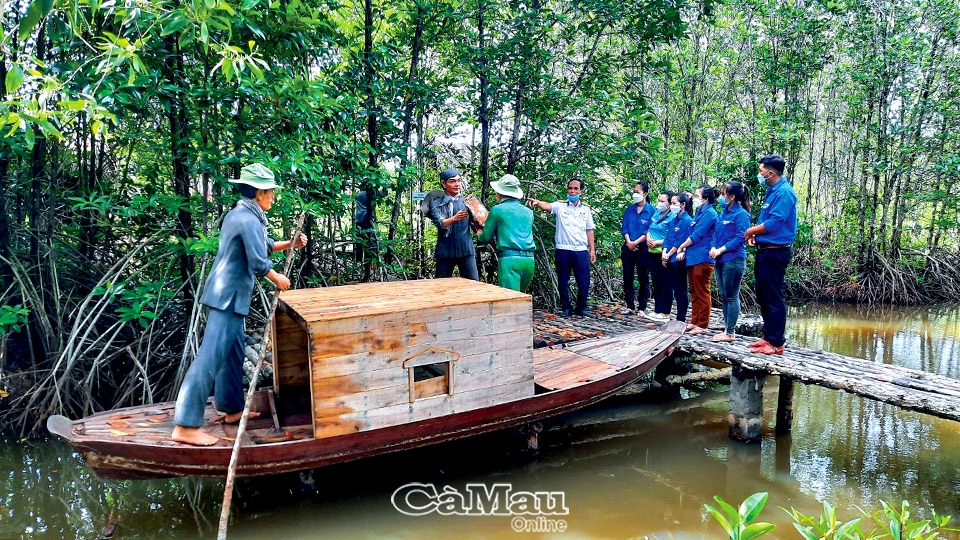 Cà Mau: Vàm Lũng - Bến cảng lòng dân