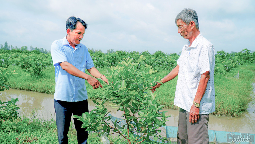 Anh Nguyễn Ngọc Tý (bên trái) thăm hỏi tình hình sản xuất của người dân trong ấp.