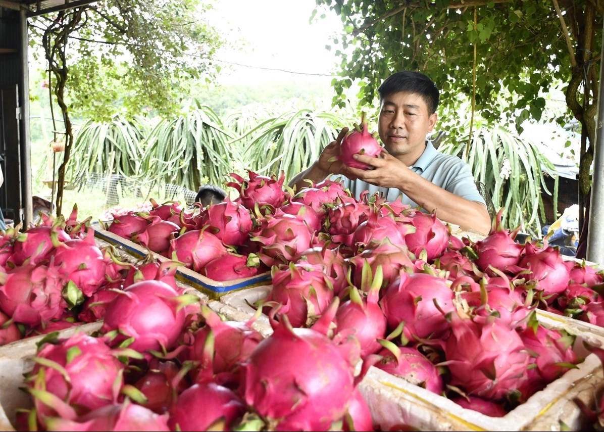 Con đường riêng của tỷ phú thanh long