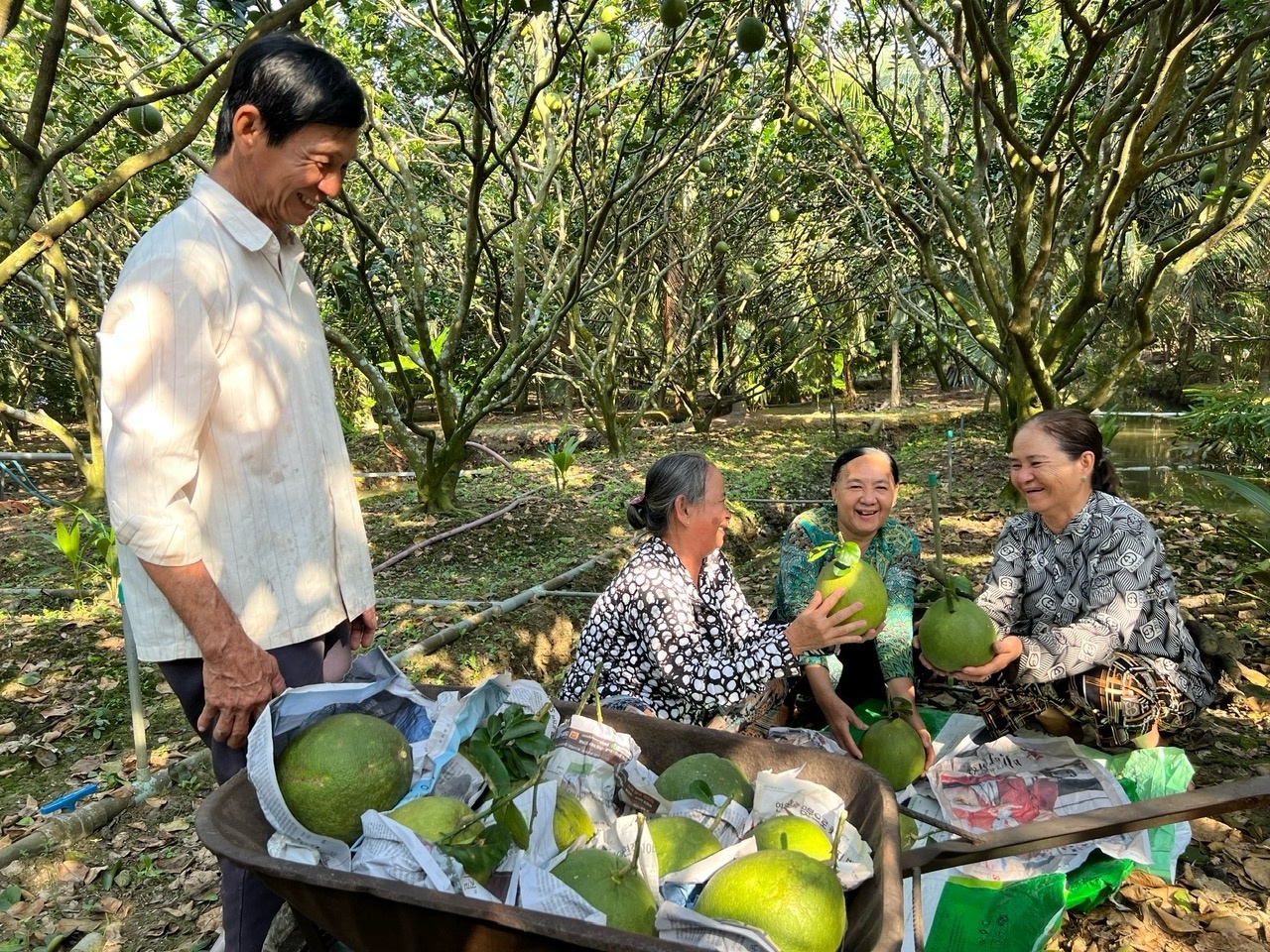 Phân bón Cà Mau thắng lớn 6 tháng đầu năm