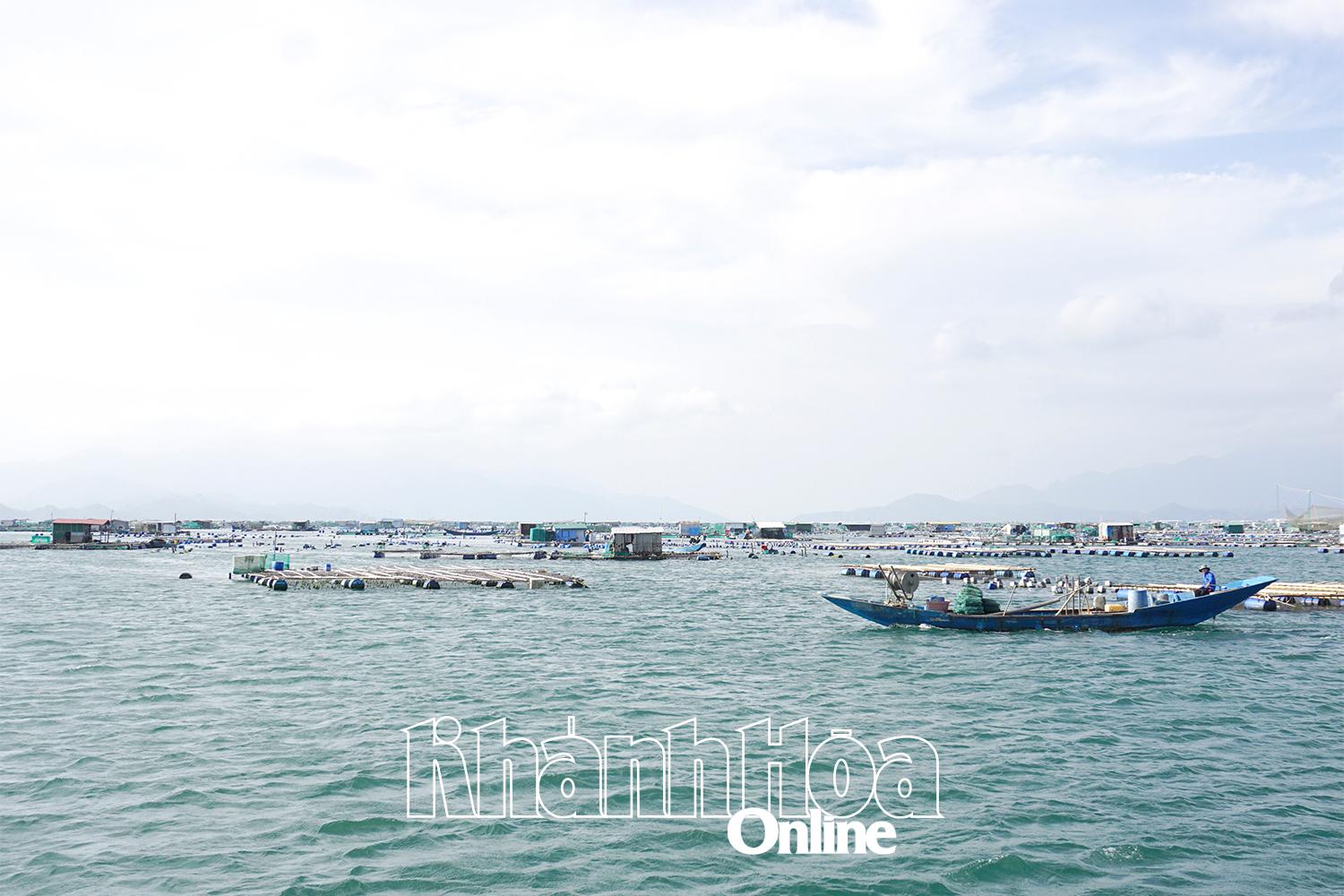 Khánh Hòa: Nuôi trồng thủy sản trên vịnh Cam Ranh: Người dân không được xâm phạm vùng nước cấm