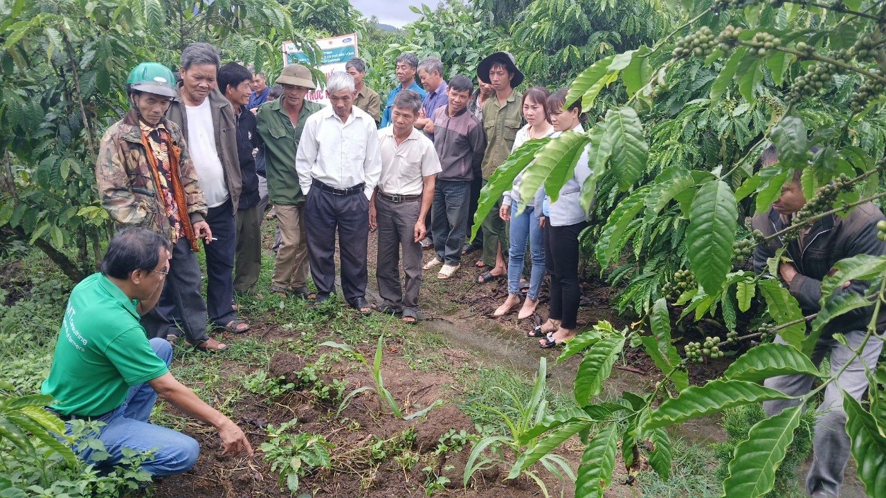Lâm Đồng: Đa dạng hóa cây trồng, nâng cao hiệu quả sản xuất