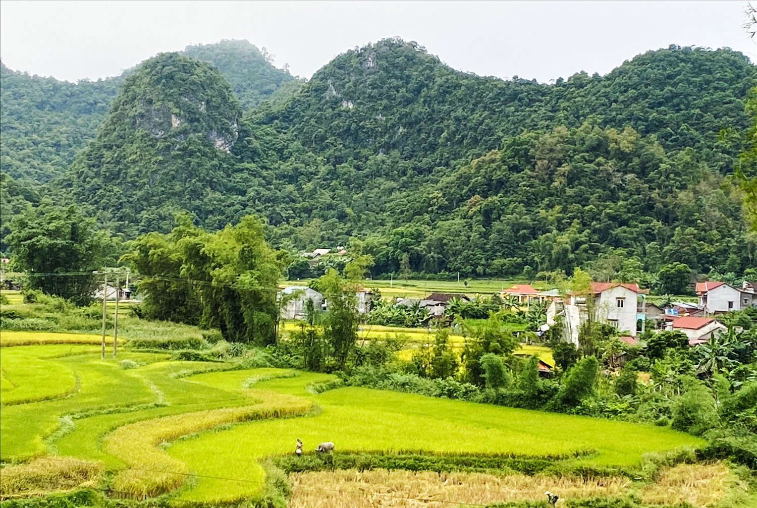 Những “cột mốc sống” miền biên viễn