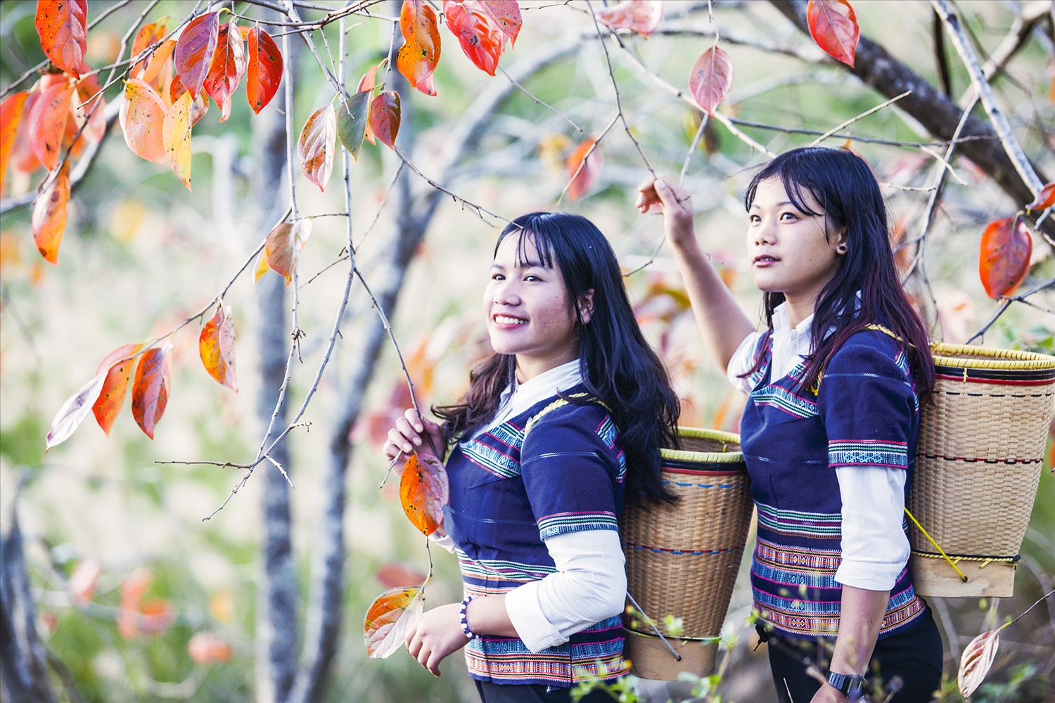 Một ngày với đại ngàn Bidoup