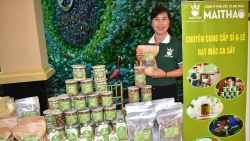 Nhiều hoạt động hấp dẫn sẽ được tổ chức tại sự kiện Tết độc lập Lai Châu 2025
