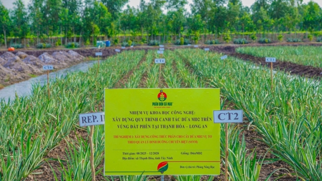 R&amp;D - Chiến lược phát triển lõi, bệ phóng tăng trưởng dài hạn của PVCFC