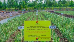 R&amp;D - Chiến lược phát triển lõi, bệ phóng tăng trưởng dài hạn của PVCFC