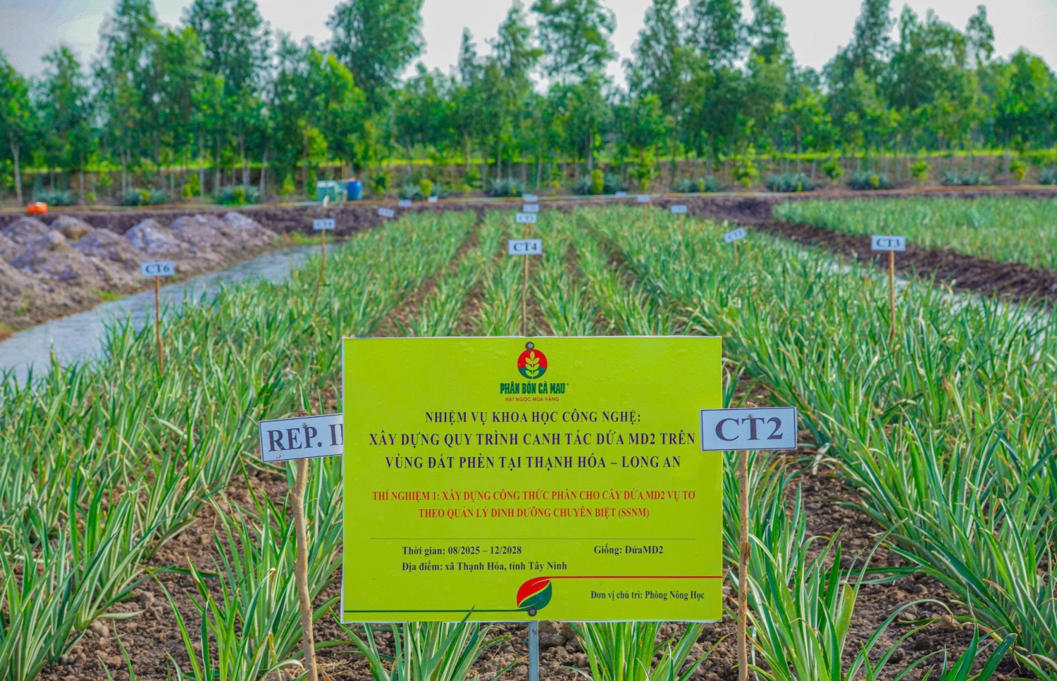 R&amp;D - Chiến lược phát triển lõi, bệ phóng tăng trưởng dài hạn của PVCFC