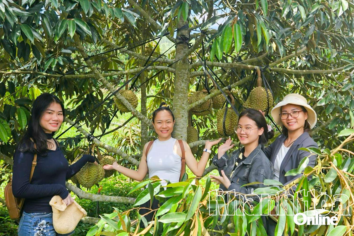 Khánh Hòa: Dạo chơi trên miền non cao Khánh Hòa: Dạo chơi trên miền non cao