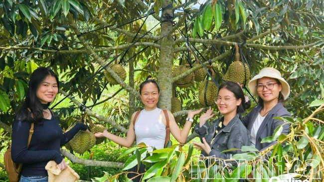 Khánh Hòa: Dạo chơi trên miền non cao
