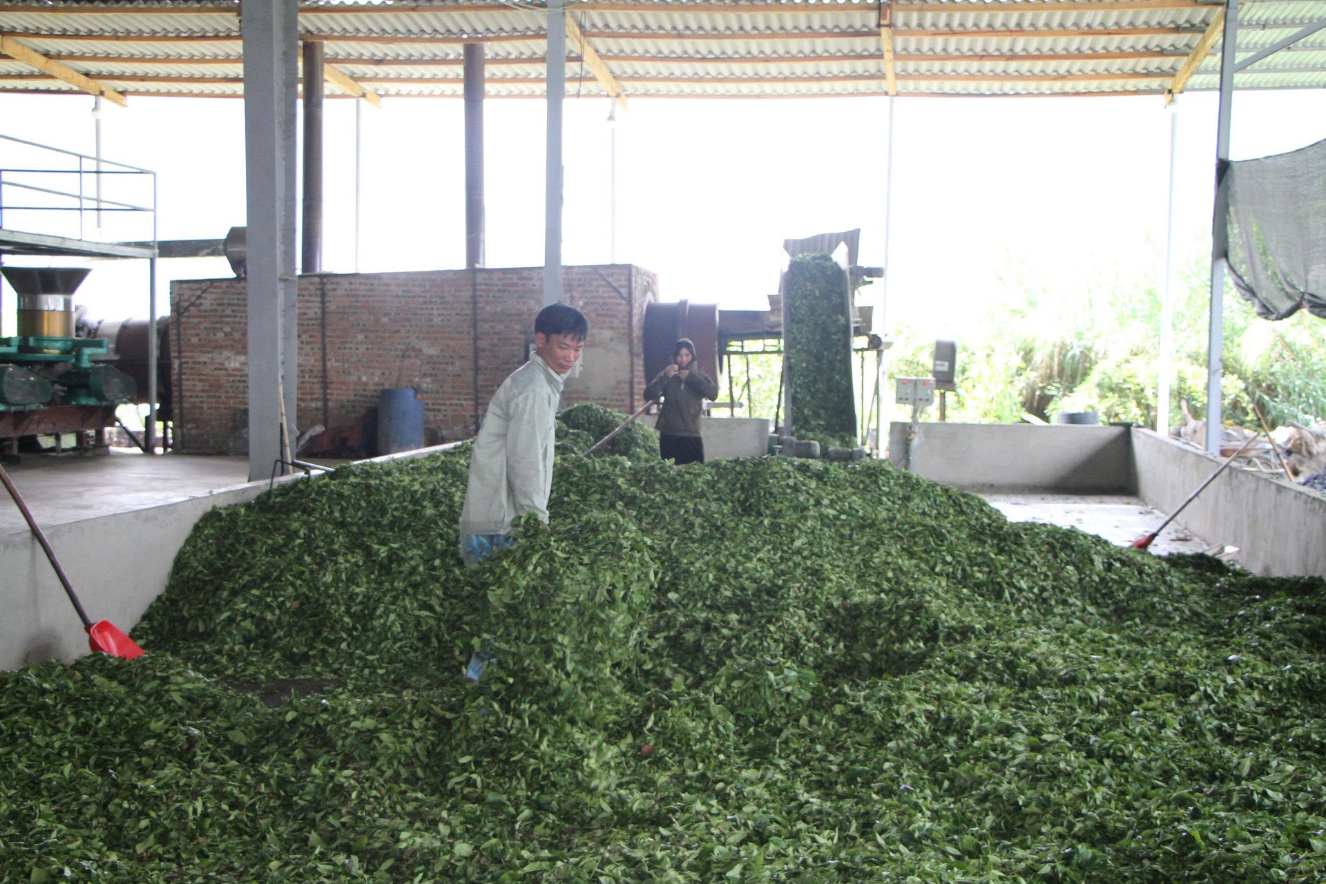 Lai Châu: Khơi thông nguồn lực phát triển kinh tế tư nhân