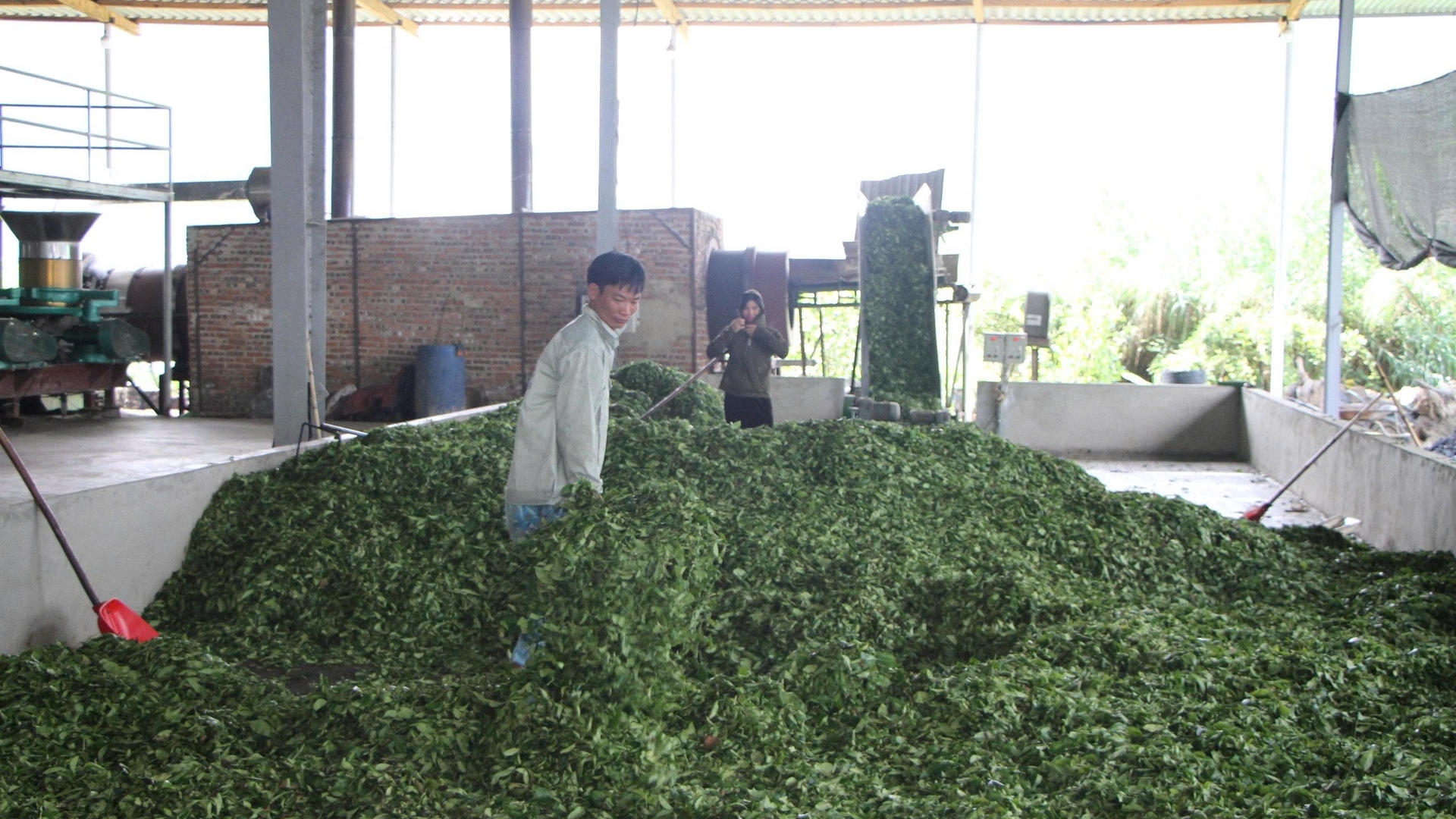 Lai Châu: Khơi thông nguồn lực phát triển kinh tế tư nhân