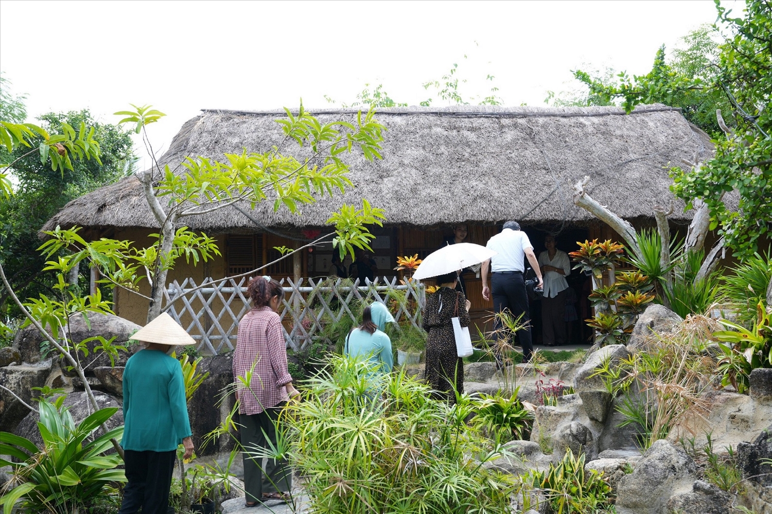 Miên man Gò Cỏ