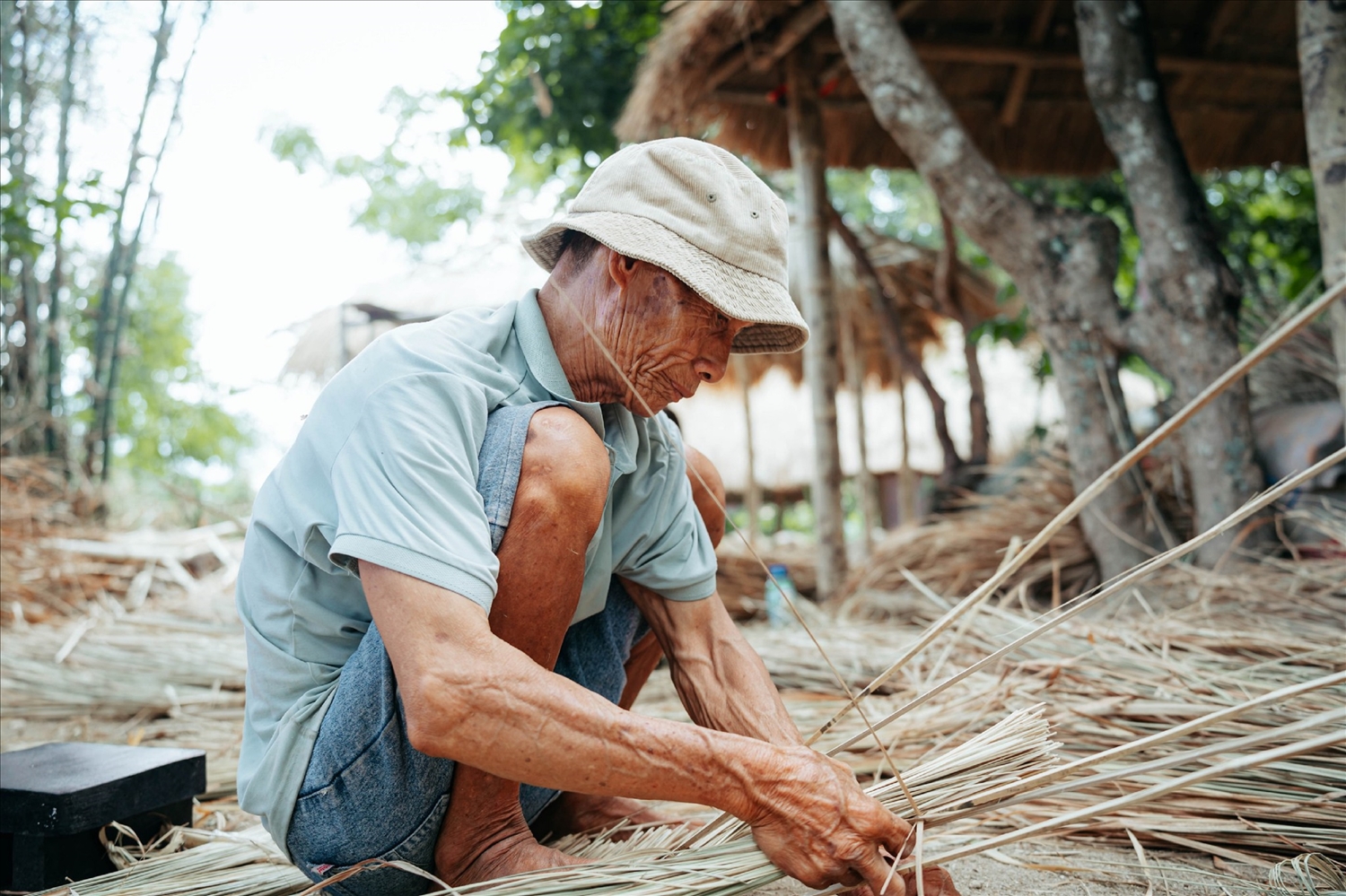 Miên man Gò Cỏ
