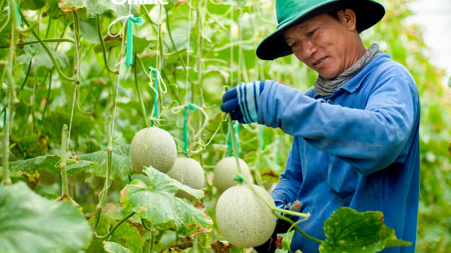 Khánh Hoà: Những mạch nguồn xanh hóa miền nắng gió