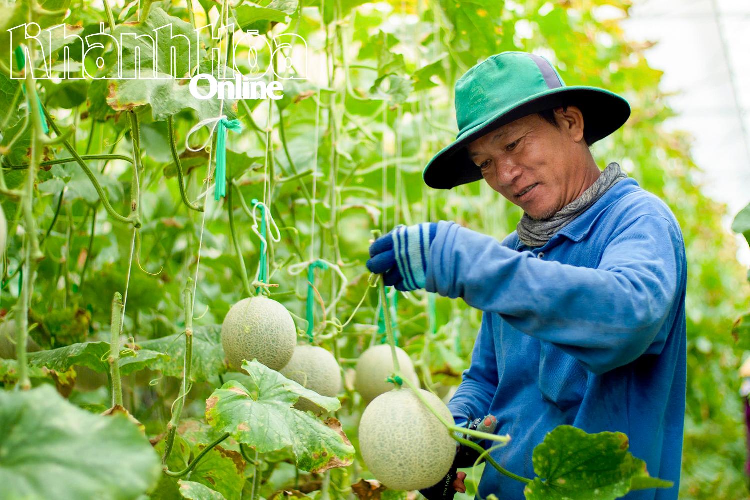 Khánh Hoà: Những mạch nguồn xanh hóa miền nắng gió