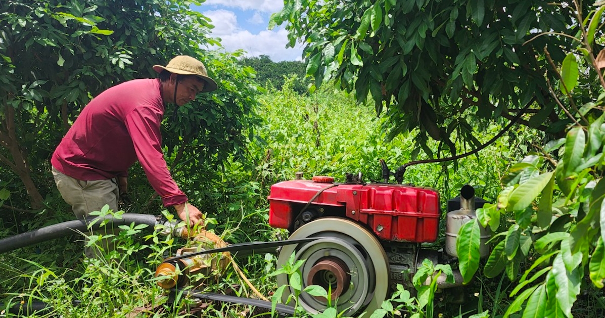 Chàng trai Ê Đê "đánh cược" với đất để đổi đời