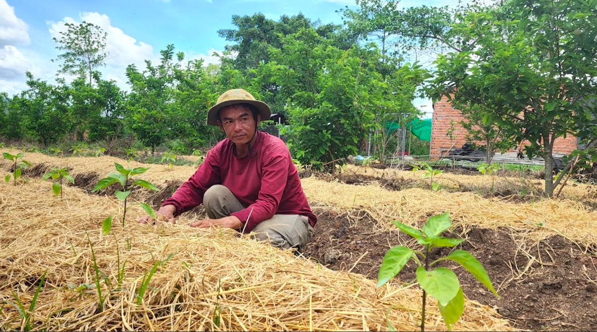 Chàng trai Ê Đê "đánh cược" với đất để đổi đời