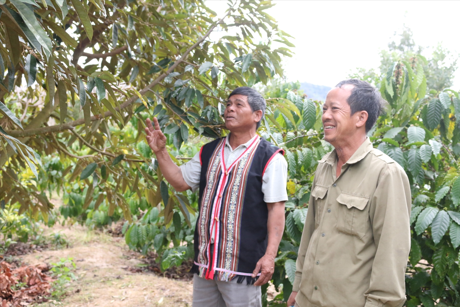 Di tích chiến thắng Kon Braih - Nơi ghi dấu lịch sử và khát vọng vươn lên