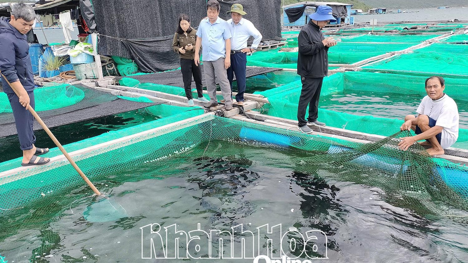 Khánh Hòa: Tiềm năng nuôi cá tai bồ