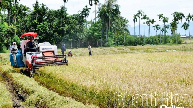 Khánh Hòa: Làng Chăm ơn Bác