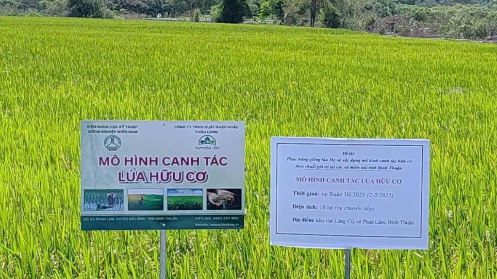 Lâm Đồng: Đánh thức “hạt ngọc” vùng cao Phan Sơn