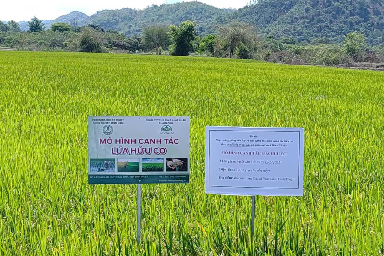 Lâm Đồng: Đánh thức “hạt ngọc” vùng cao Phan Sơn