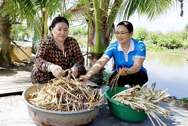 Cần Thơ: Kinh tế tập thể tiếp sức lao động nữ
