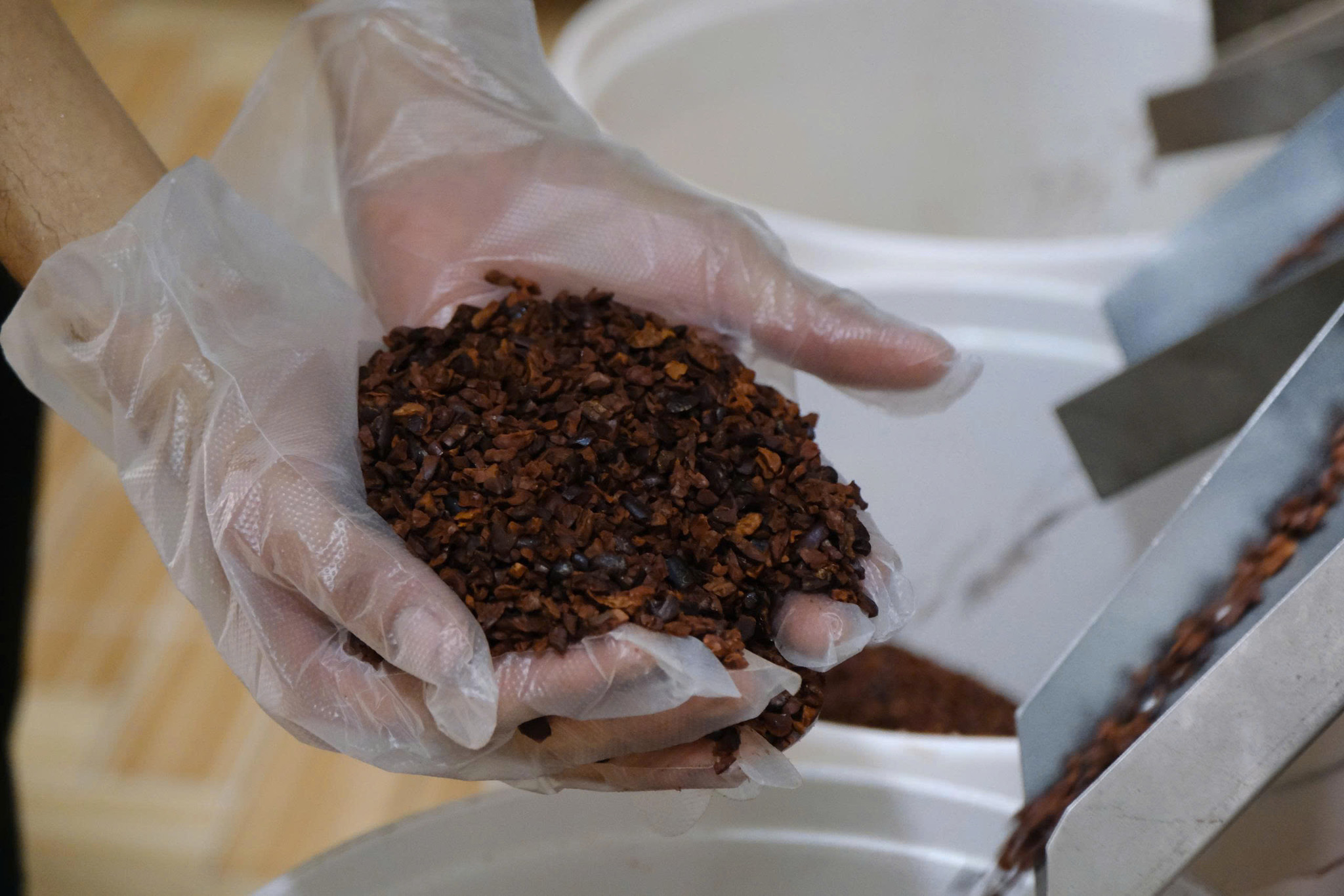 Lâm Đồng: Hai cô gái 9X đưa chocolate Cát Tiên ra thế giới