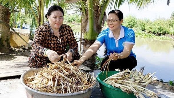 Cần Thơ: Kinh tế tập thể tiếp sức lao động nữ