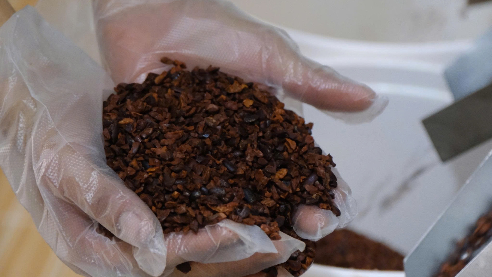 Lâm Đồng: Hai cô gái 9X đưa chocolate Cát Tiên ra thế giới