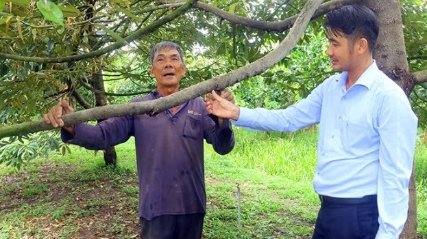 Cần Thơ: “Hạt nhân” chuyển đổi kinh tế nông thôn