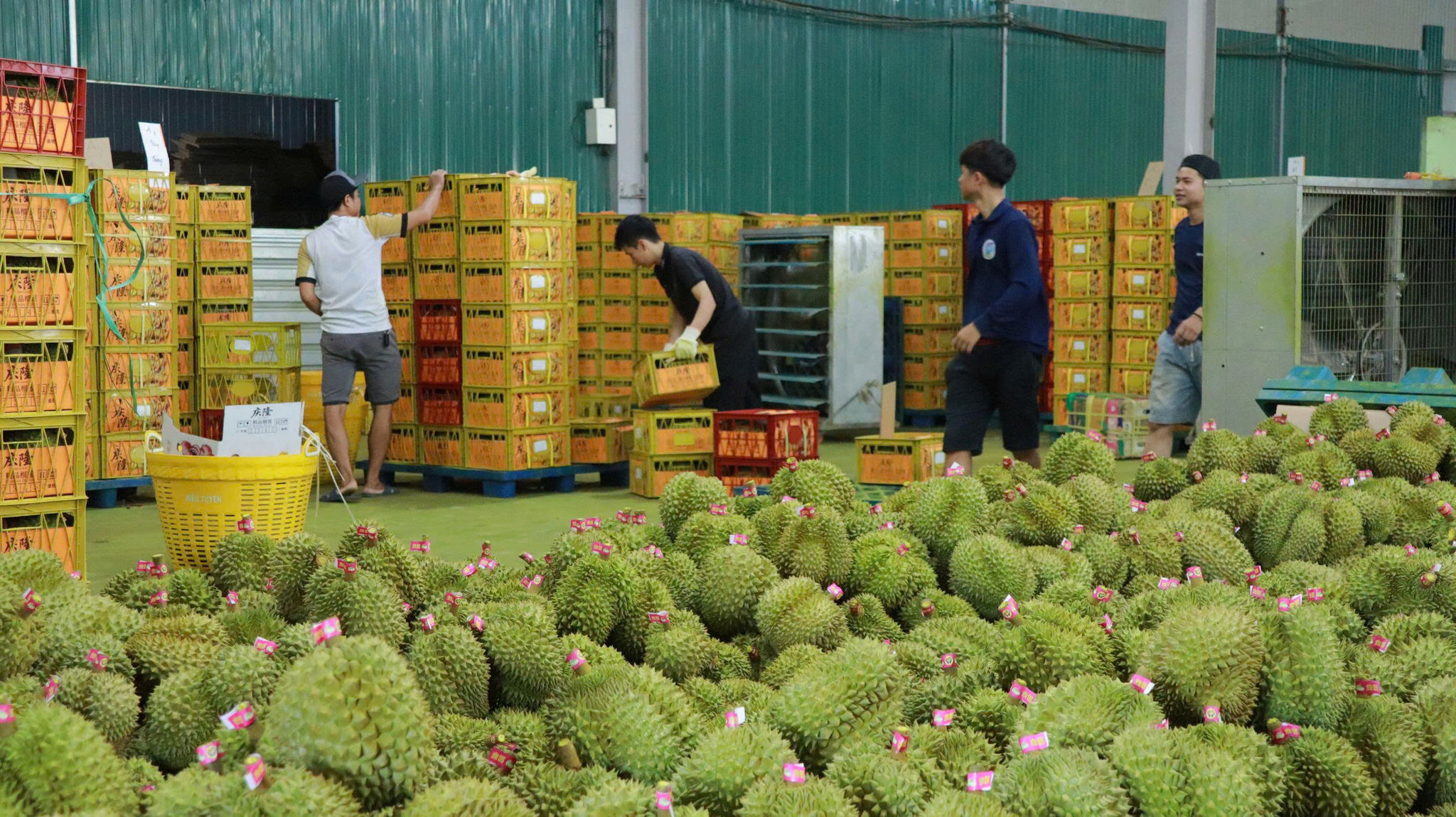 Lâm Đồng: OCOP - từ đạt chuẩn đến chinh phục thị trường