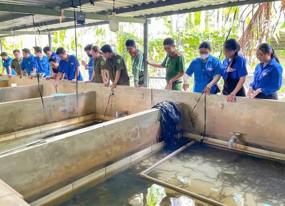 Cần Thơ: Anh Võ Hoàng Nam thành công với mô hình sản xuất lươn giống