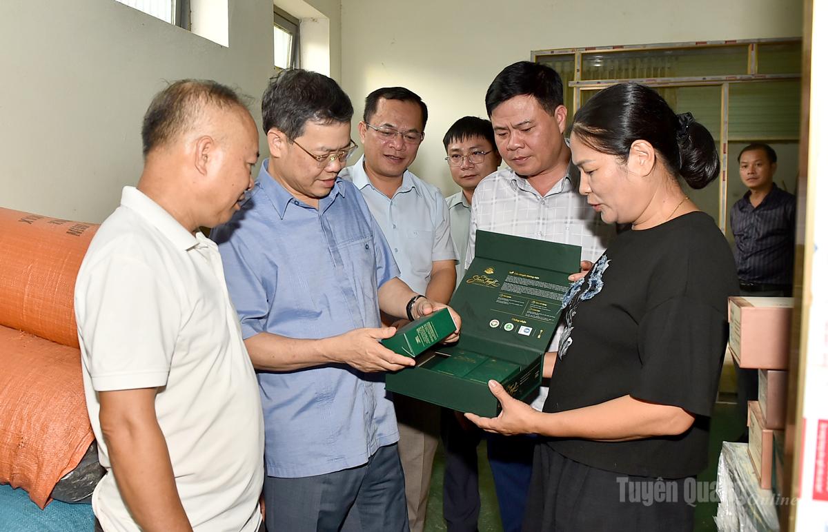 Chủ tịch HĐND tỉnh Nguyễn Văn Sơn ttìm hiểu các sản phầm của HTX Sơn Trà.